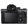 SONY ALPHA 7R III SONY ALPHA 7R III