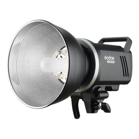 Godox MS300-D Kit