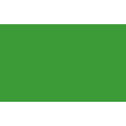 BD FOND STUDIO PAPIER 2,72X11M VERI GREEN BD132A1