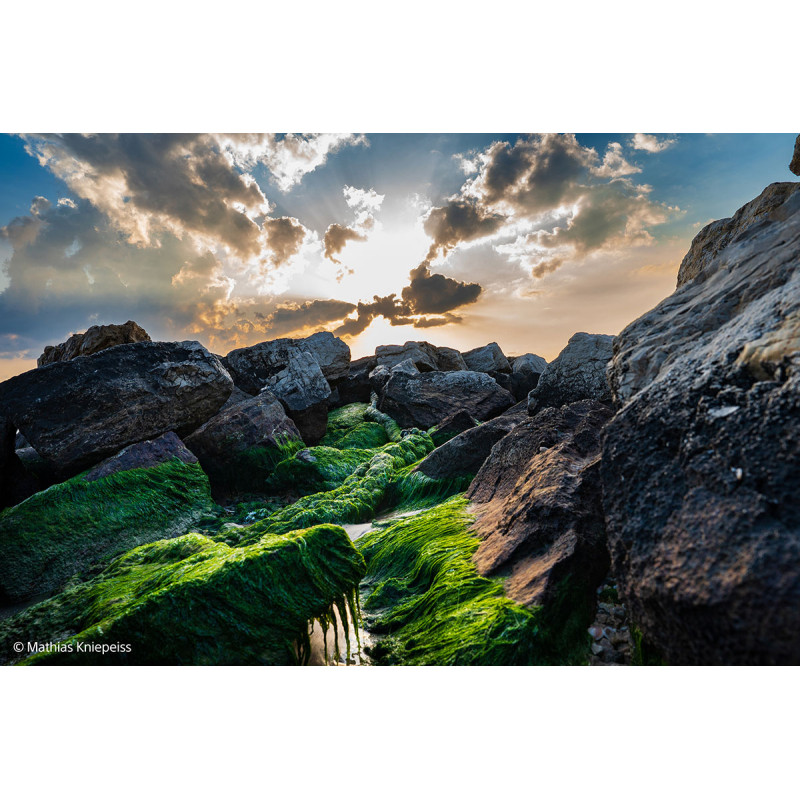 SONY FE 24-70mm F2.8 GM II