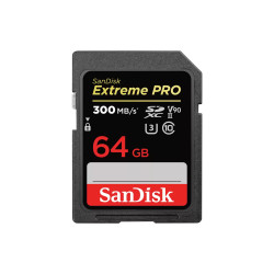 Carte Mémoire Compact Flash 64 Go Extreme - Vitesse 160 Mo/s - Pour Appareil Photo Pro, Vidéo 4K