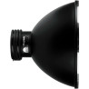 PROFOTO REFLECTOR MAGNUM 50°
