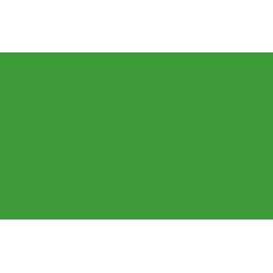 BD FOND STUDIO PAPIER 2.18X11M VERI GREEN