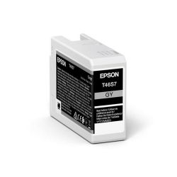 EPSON ENCRE T46S7 GRAY P700