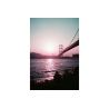 Lomography LomoChrome Purple2021 Petillant