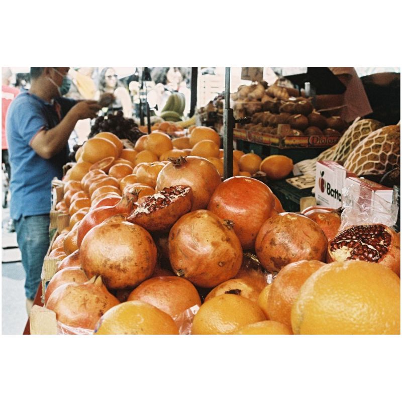 Lomography LomoChrome Metropolis 135 - 2021 film