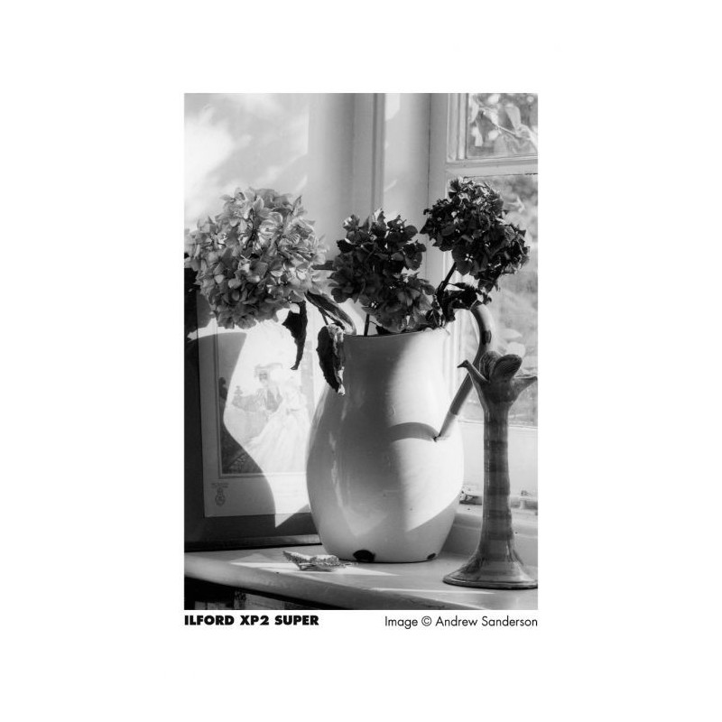 ILFORD XP2 400 ISO 135-36