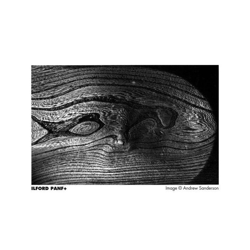 ILFORD PAN F 35mm (36 Poses)