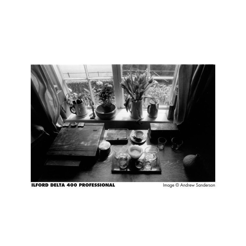 ILFORD DELTA 400 PROFESSIONAL 35 mm (36 Poses)