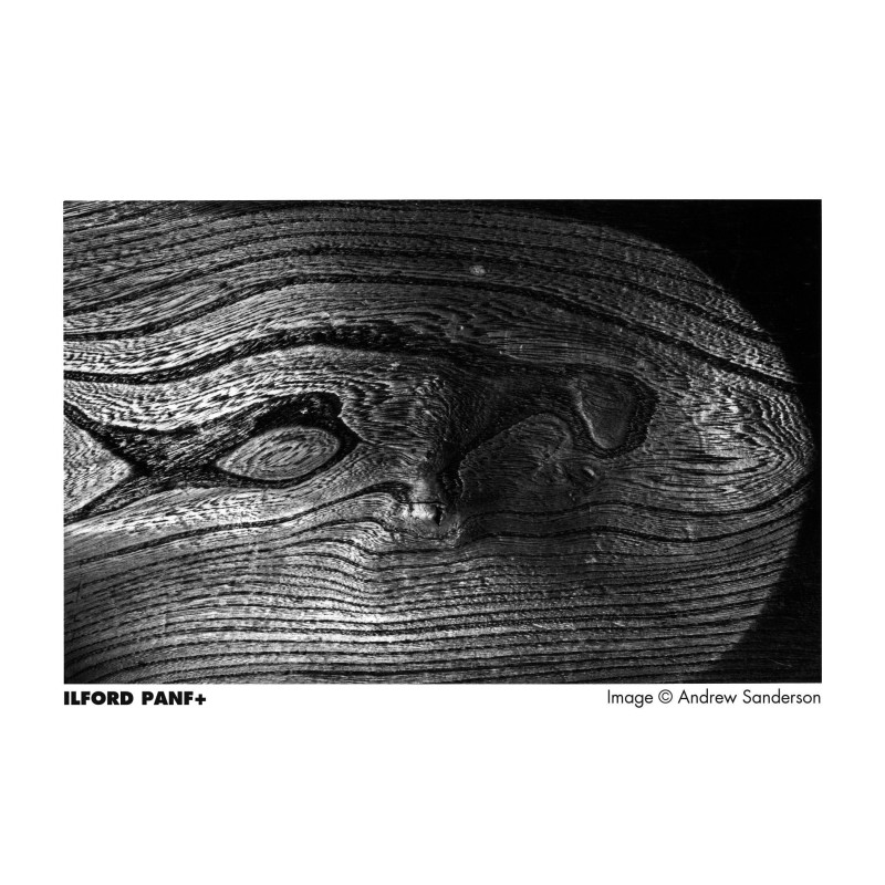 ILFORD PAN F (120 MM)