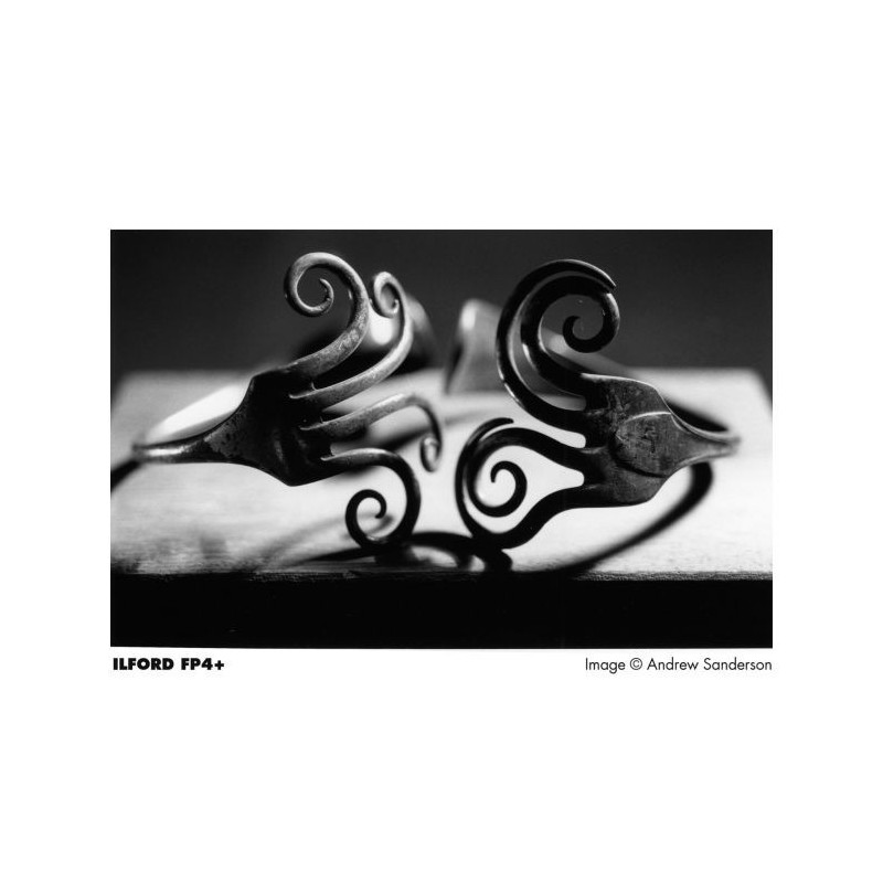 ILFORD FP4 PLUS 125 ISO 35MM (36 POSES)