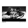 ILFORD FP4 PLUS 125 ISO 35MM (36 POSES)