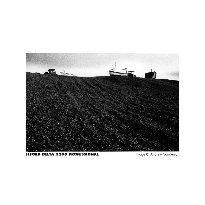 ILFORD DELTA 3200 120