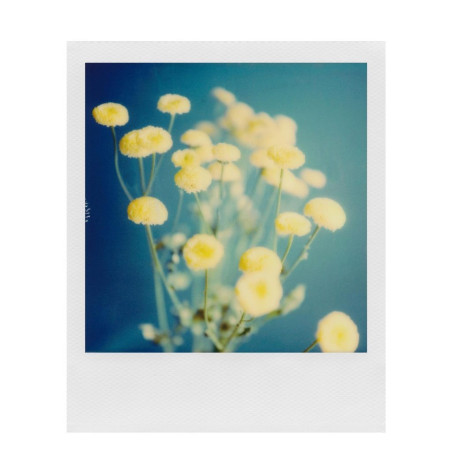 POLAROID SX-70 FILM COULEUR