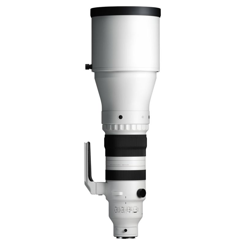Sigma 300-600mm F4 DG OS | Sports E-MOUNT