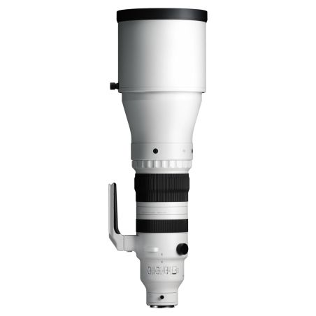 Sigma 300-600mm F4 DG OS | Sports E-MOUNT