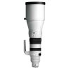Sigma 300-600mm F4 DG OS | Sports E-MOUNT