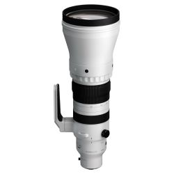 Sigma 300-600mm F4 DG OS | Sports E-MOUNT