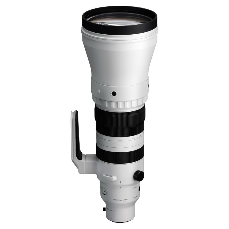 Sigma 300-600mm F4 DG OS | Sports E-MOUNT