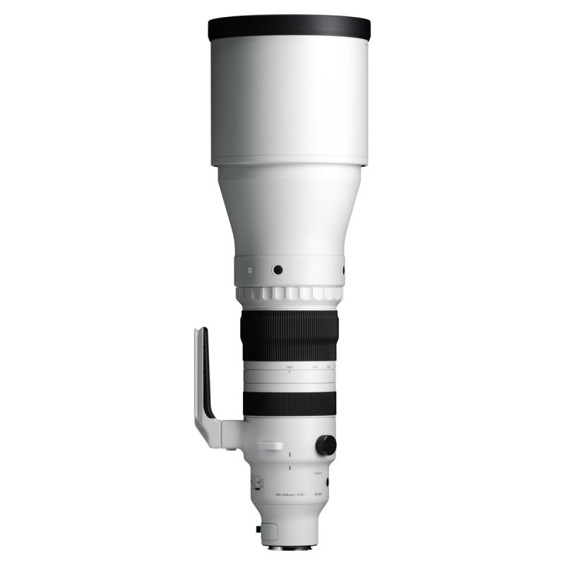 Sigma 300-600mm F4 DG OS | Sports E-MOUNT