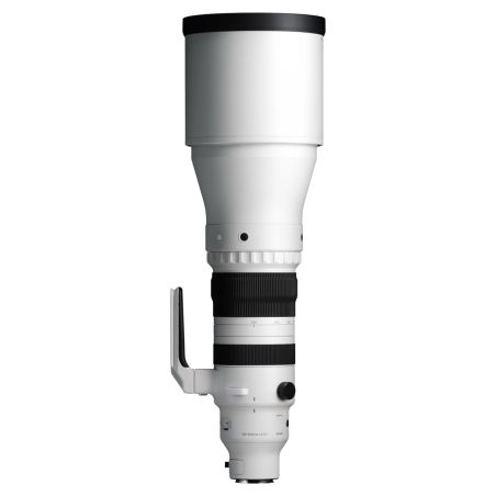 Sigma 300-600mm F4 DG OS | Sports E-MOUNT