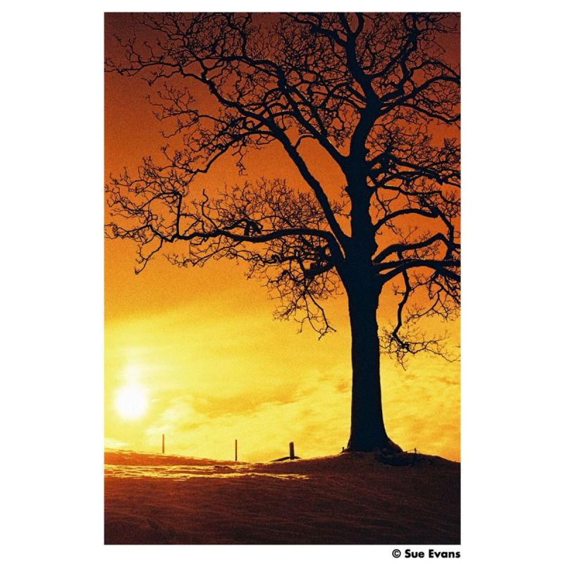 HARMAN RED 125 - 135/36P