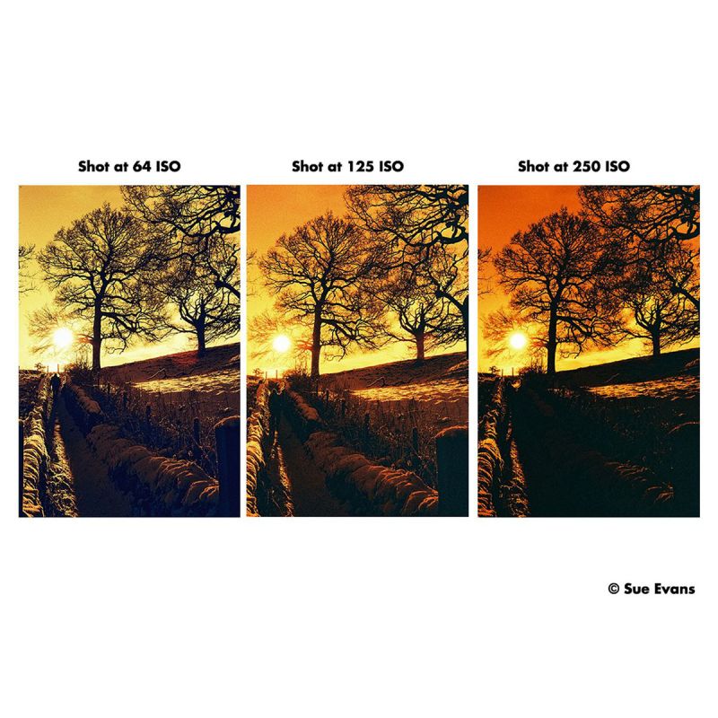 HARMAN RED 125 - 135/36P