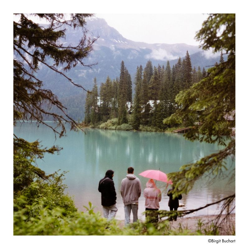 HARMAN PHOENIX II 200 Film couleur 120 – Moyen format créatif