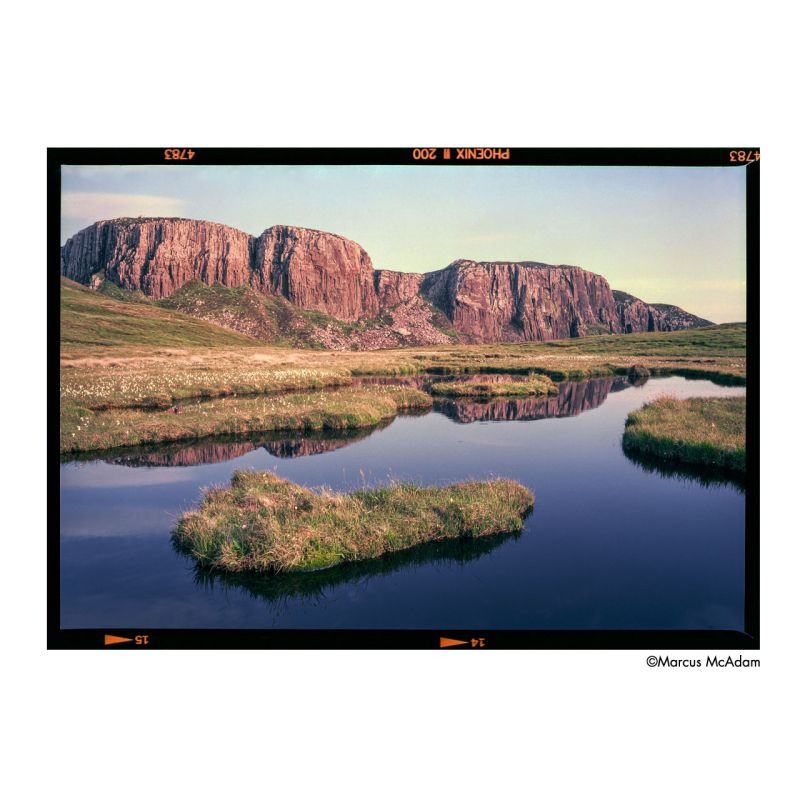 HARMAN PHOENIX II 200 Film couleur 120 – Moyen format créatif