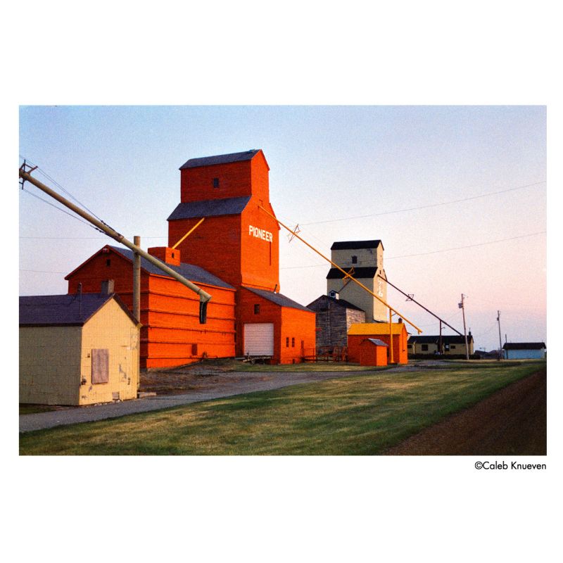 HARMAN PHOENIX II 200 Film couleur 135-36 – Grain fin & contraste