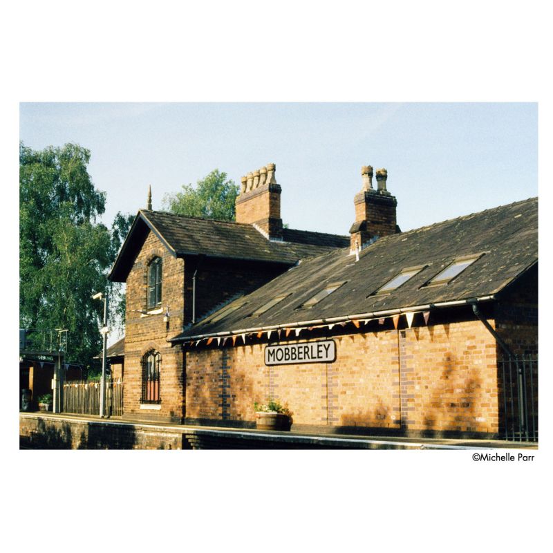 HARMAN PHOENIX II 200 Film couleur 135-36 – Grain fin & contraste