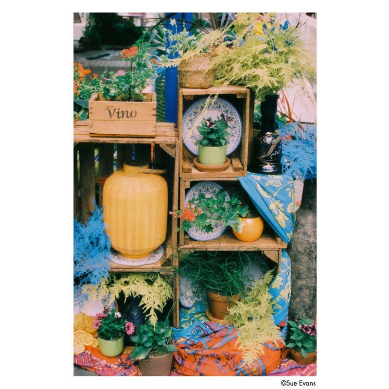 HARMAN PHOENIX II 200 Film couleur 135-36 – Grain fin & contraste