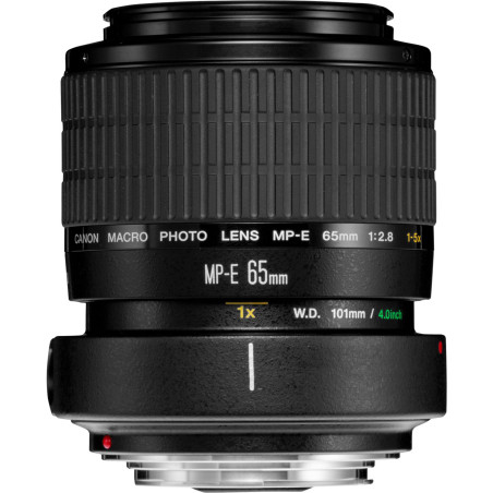 CANON EF MP-E 65-2,8 MACRO CANON EF MP-E 65-2,8 MACRO