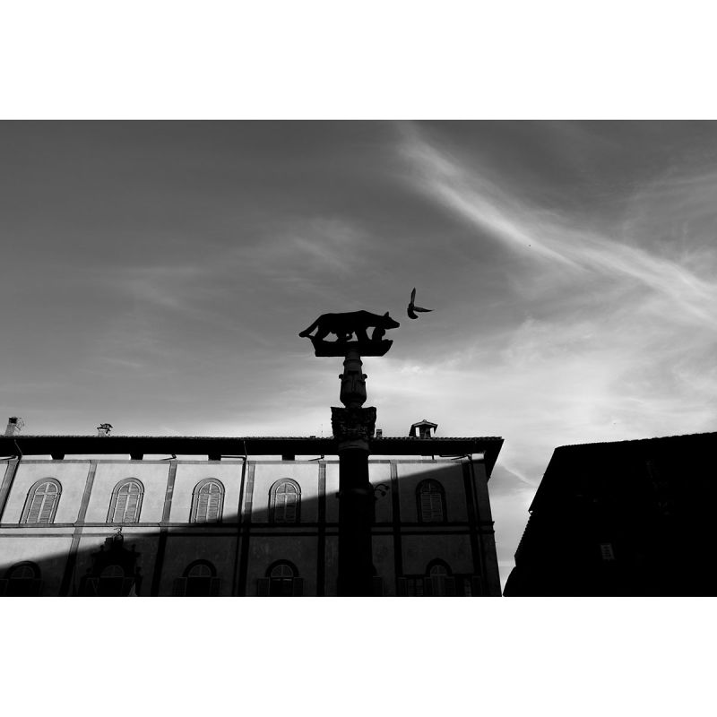 Leica Q3 Monochrom – Compact Plein Format 60MP Noir & Blanc