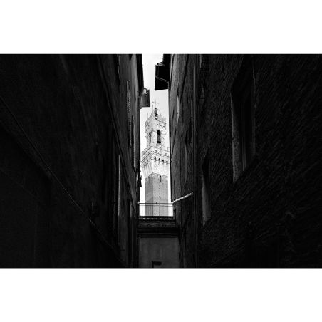 Leica Q3 Monochrom – Compact Plein Format 60MP Noir & Blanc