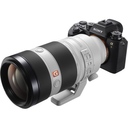 SONY SEL FE 100-400/4,5-5,6 GM OSS