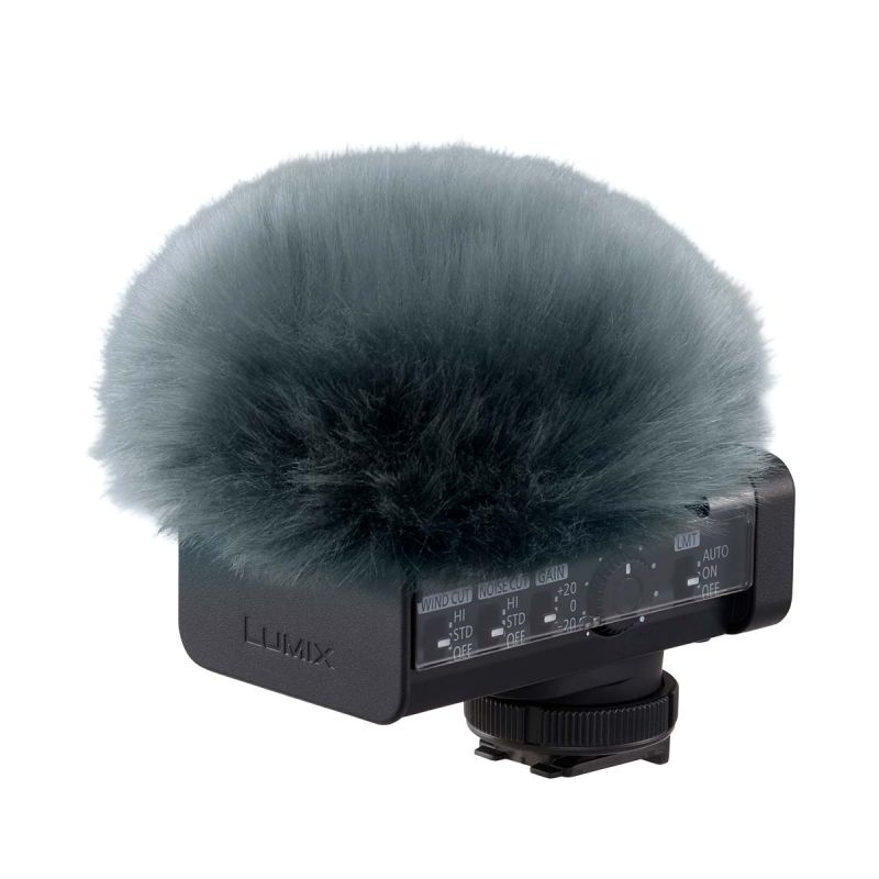 PANASONIC LUMIX MICRO DMW-DMS1