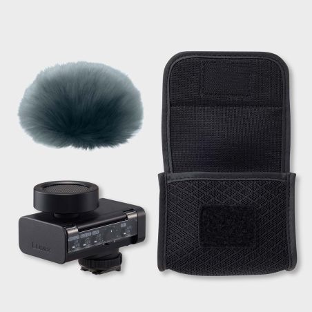 PANASONIC LUMIX MICRO DMW-DMS1