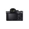 SONY ALPHA 7 III