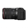Canon EOS R6 V + RF 20-50mm F4L IS USM PZ
