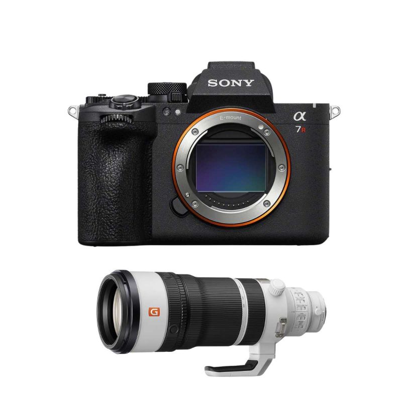 SONY ALPHA 7R VI + SONY 100-400 4,5