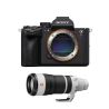 SONY ALPHA 7R VI + SONY 100-400 4,5