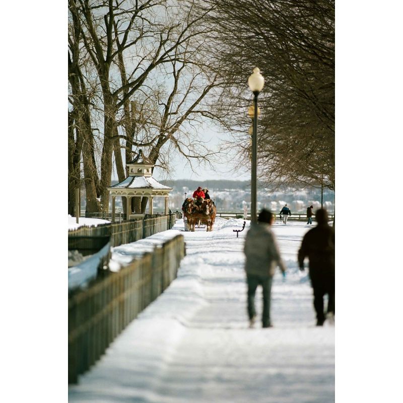 KODAK EKTACOLOR PRO 160 135/36P
