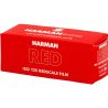 Harman RED 125 120 – Pellicule Redscale ISO 125 – C41