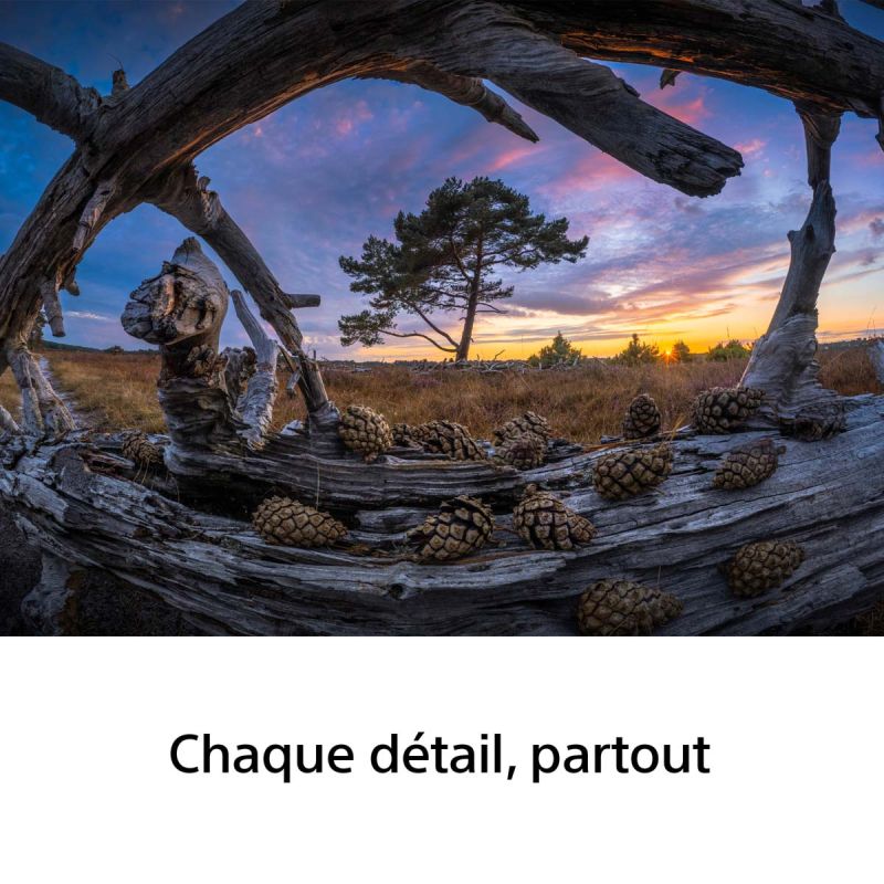 Sony FE 8-14mm F3.5 Fisheye G – Zoom Fisheye Plein Format