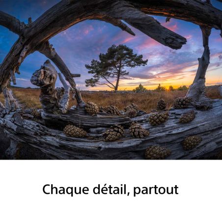 Sony FE 8-14mm F3.5 Fisheye G – Zoom Fisheye Plein Format