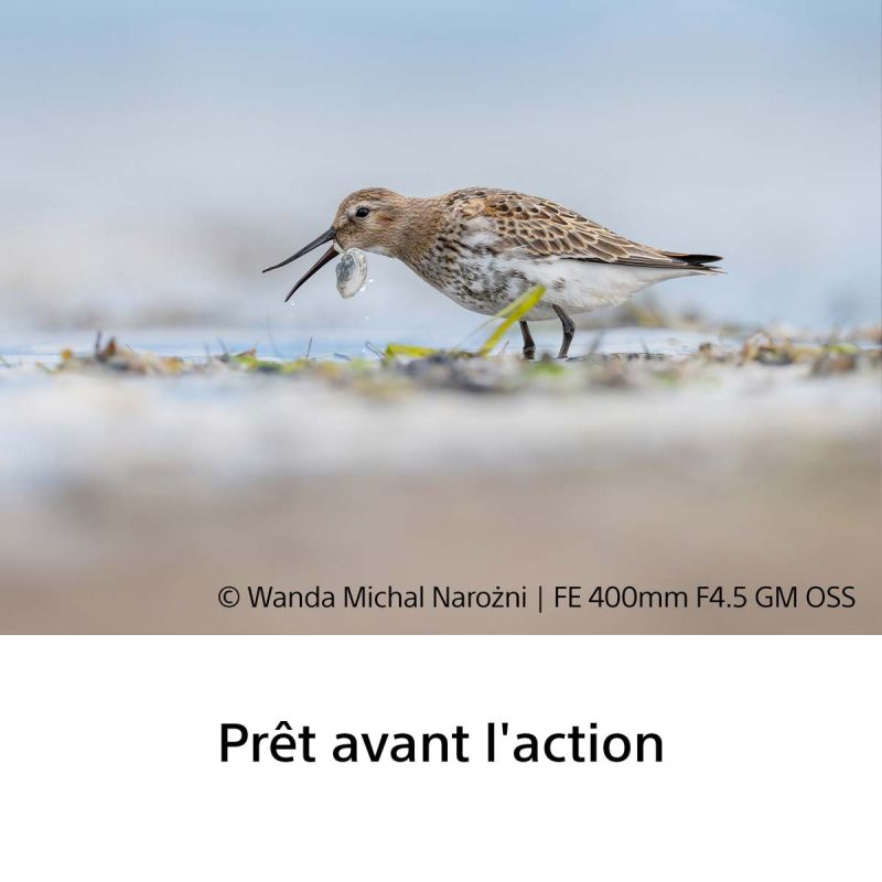 Sony FE 400mm F4.5 GM OSS – Super-téléobjectif G Master