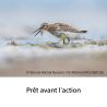 Sony FE 400mm F4.5 GM OSS – Super-téléobjectif G Master