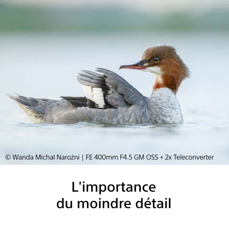 Sony FE 400mm F4.5 GM OSS – Super-téléobjectif G Master