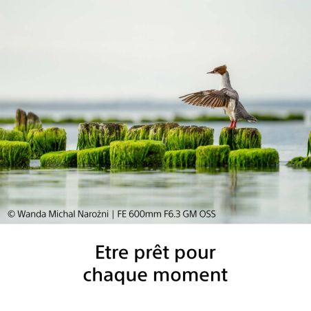 Sony FE 600mm F6.3 GM OSS – Super-téléobjectif G Master